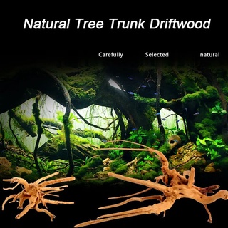 Aquarium Wood Root Natural Trunk Driftwood Fish Tank Ornament Landscaping Decoration Plants for Aquarium Accessories Home decor #3