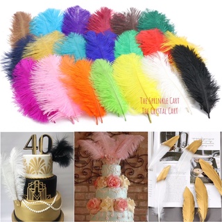 Colored Ostrich Feather Goose Feather DIY High Quality Soft Feather ...