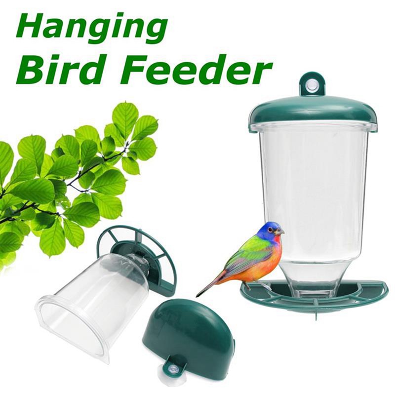 automatic wild bird feeder
