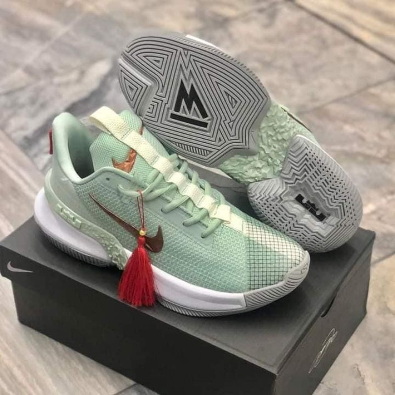 nike lebron ambassador 13