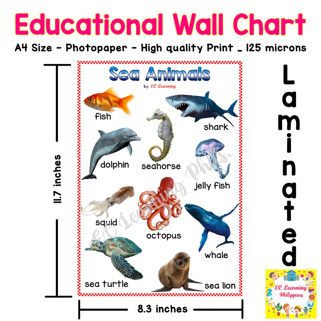 A4 SEA ANIMALS Laminated Educational Wall chart for kids | Shopee  Philippines