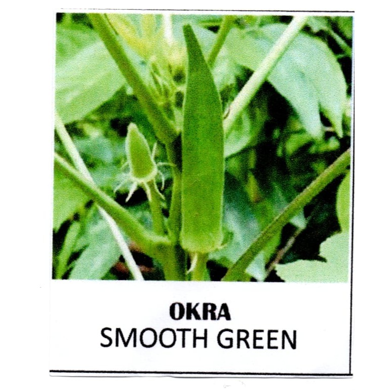 Okra Seeds(per pack) Shopee Philippines