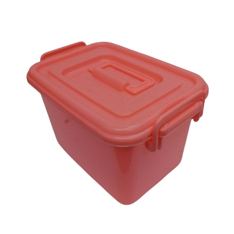 6.5L STORAGE BOXES/ ORGANIZER/ FOOD CONTAINER / ORGANIZER / BIN BOX ...