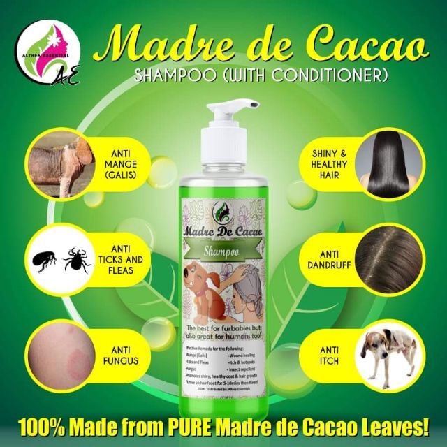 AE MADRE DE CACAO SHAMPOO Shopee Philippines