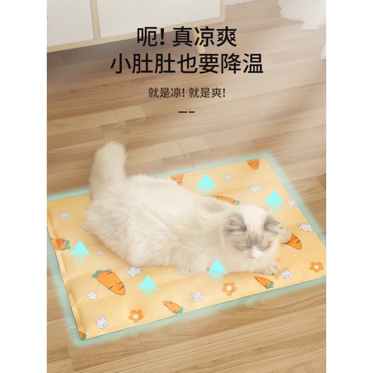 New Product Discount Sale Summer Cat Litter Dog House Indoor Style Kennel Cool Nest Ice Mat Floor Kitten Dedicated Pet Household #4