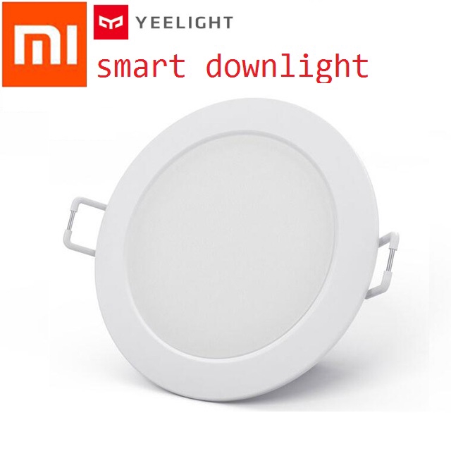 downlight