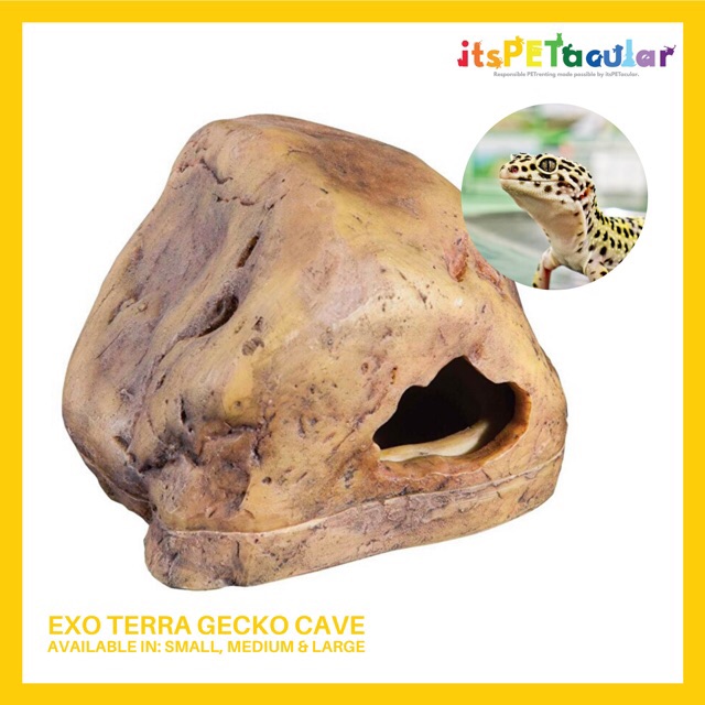 Exo Terra Gecko Cave (Hiding Spot) | Shopee Philippines