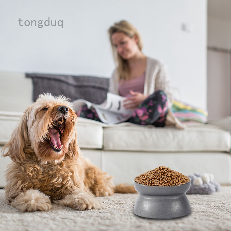 safe dog food bowls