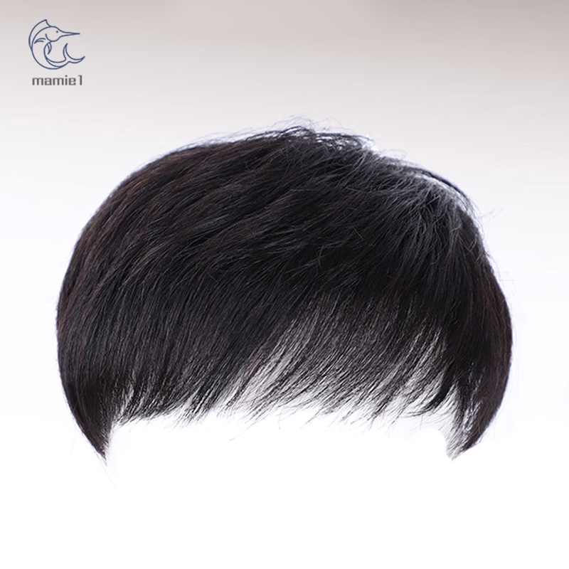 Men Short Hair Wigs Toupee Hair Replacement System Hairpiece for Daily |  Shopee Philippines