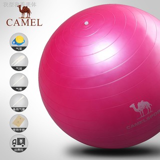 exercise ball set