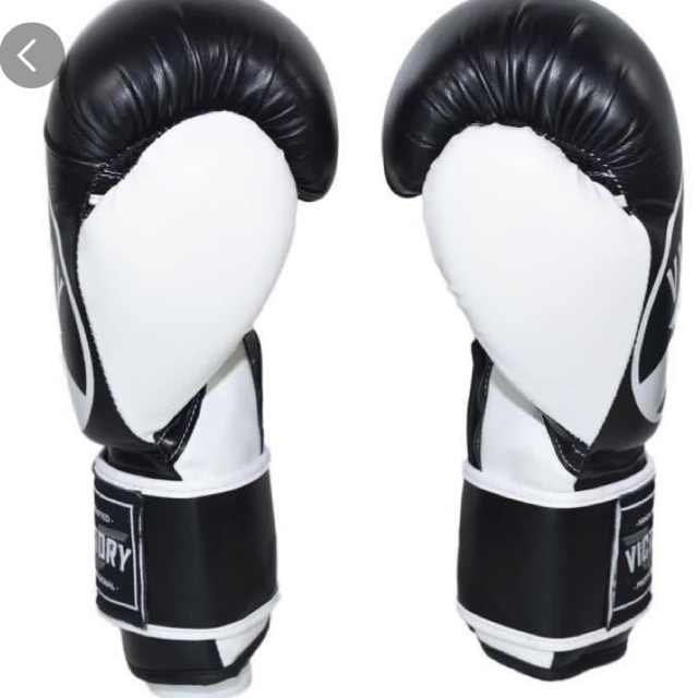 titan boxing gloves