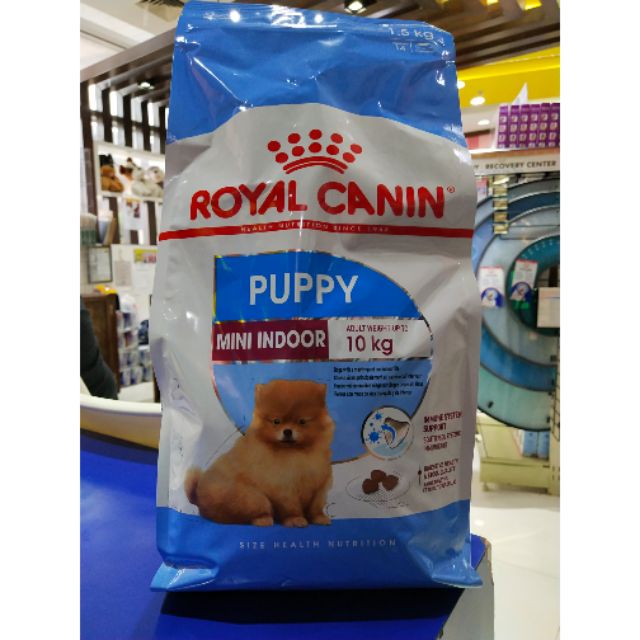 royal canin puppy mini indoor