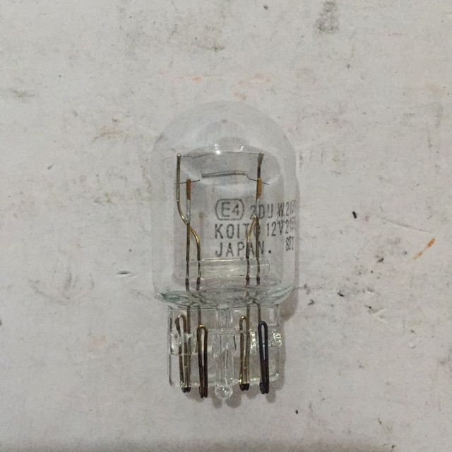 single light bulb plug in