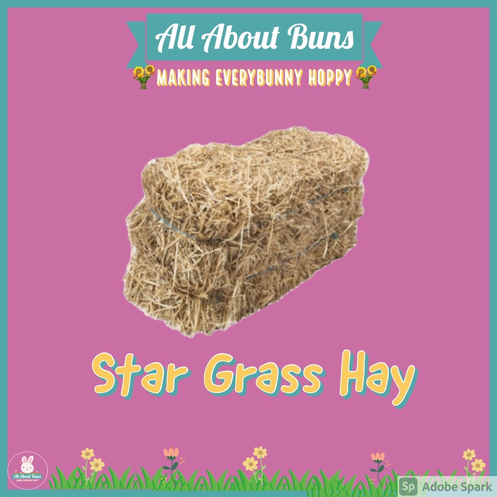 PREMIUM STAR GRASS HAY FOR RABBITS (Make mealtime exciting by offering a variety of new taste