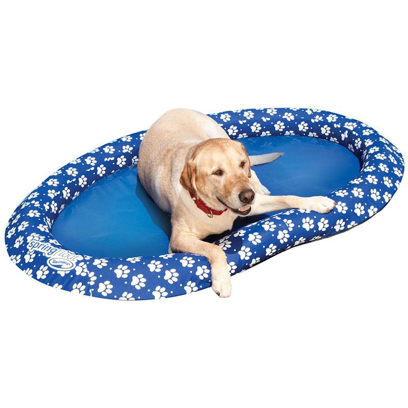 dog pool toy