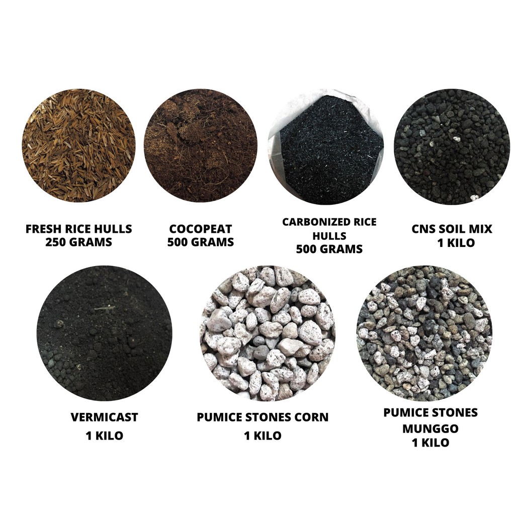 Cocopeat Carbonized Rice Hulls CNS Soil Mix Vermicast Pumice Stones