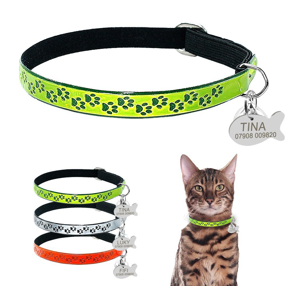 personalised kitten collar