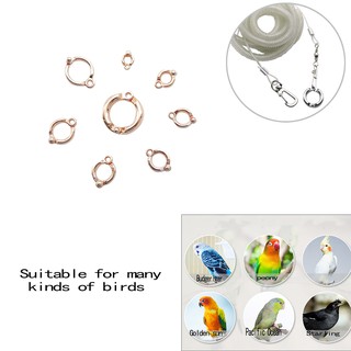 Birds Leashes Foot Ring Stainless Steel 4-10mm  Flight Training Foot Ring (1 Pc)