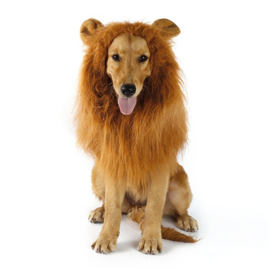 Dog Lion Wigs Mane Hair For Party Halloween Festival #3