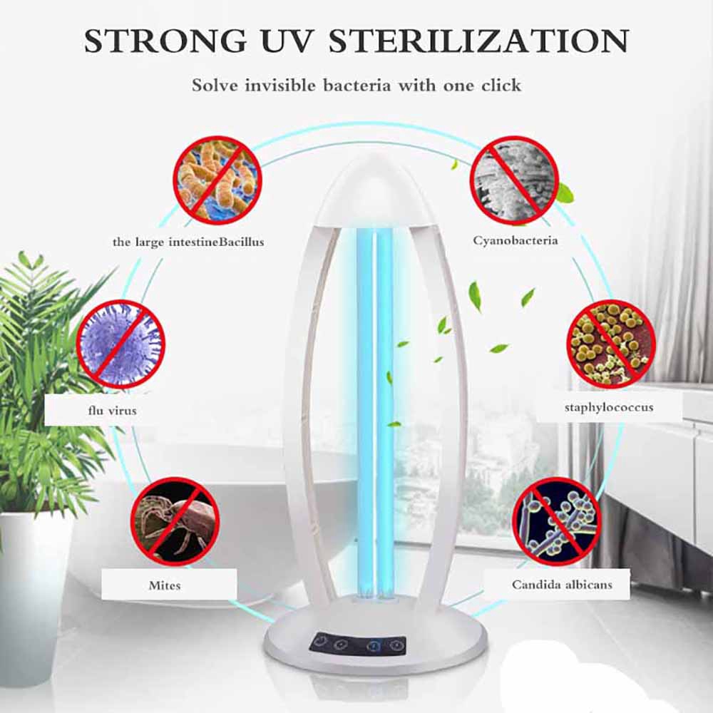 desktop uv light