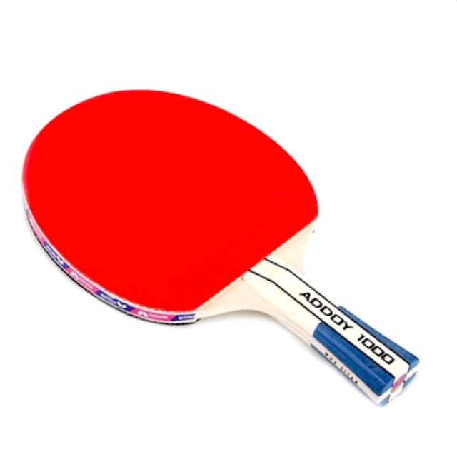 Butterfly Addoy 1000 Table Tennis 