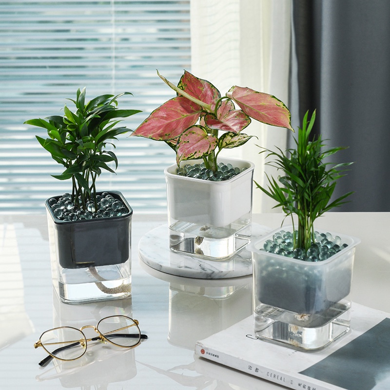 Desktop transparent visual lazy green dill automatic water-absorbing flower pot vase square plasti #3