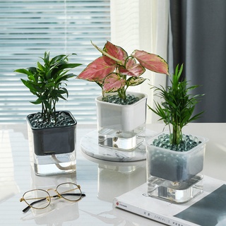 Desktop transparent visual lazy green dill automatic water-absorbing flower pot vase square plasti #3