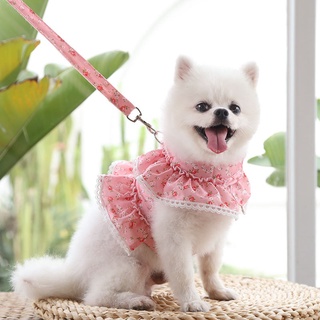 【Ready Stock】Cute Pet Chest Harness Traction Rope Small Floral Lace Chest Back Dog Walking Rope