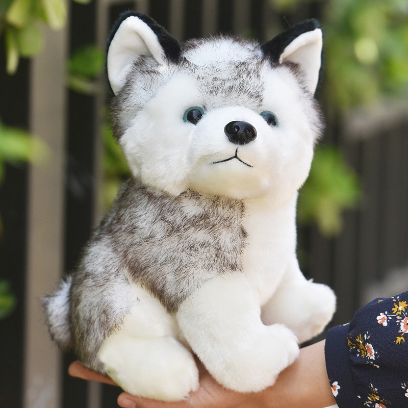 stuffed husky toy