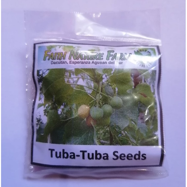 TubaTuba Seeds ( 7 seeds ) Shopee Philippines