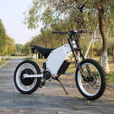 performance electric bike