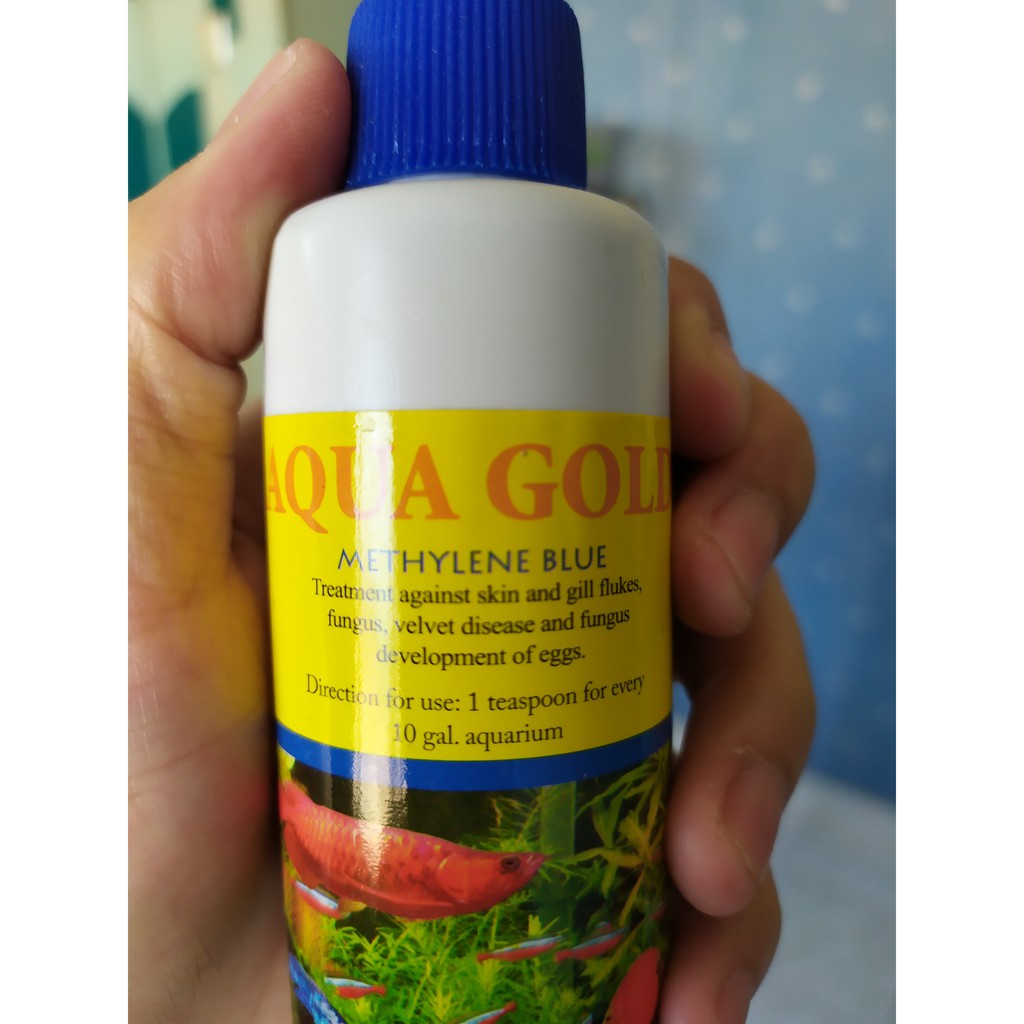 hong yang aquarium n pets accessories