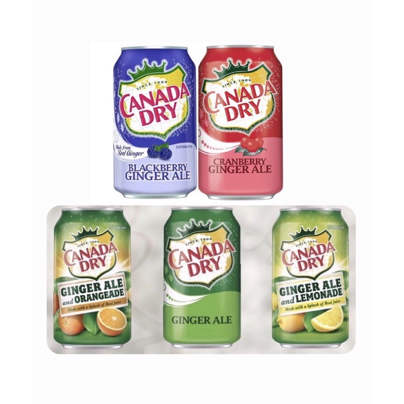  Canada  Dry Ginger Ale 1 can Shopee  Philippines