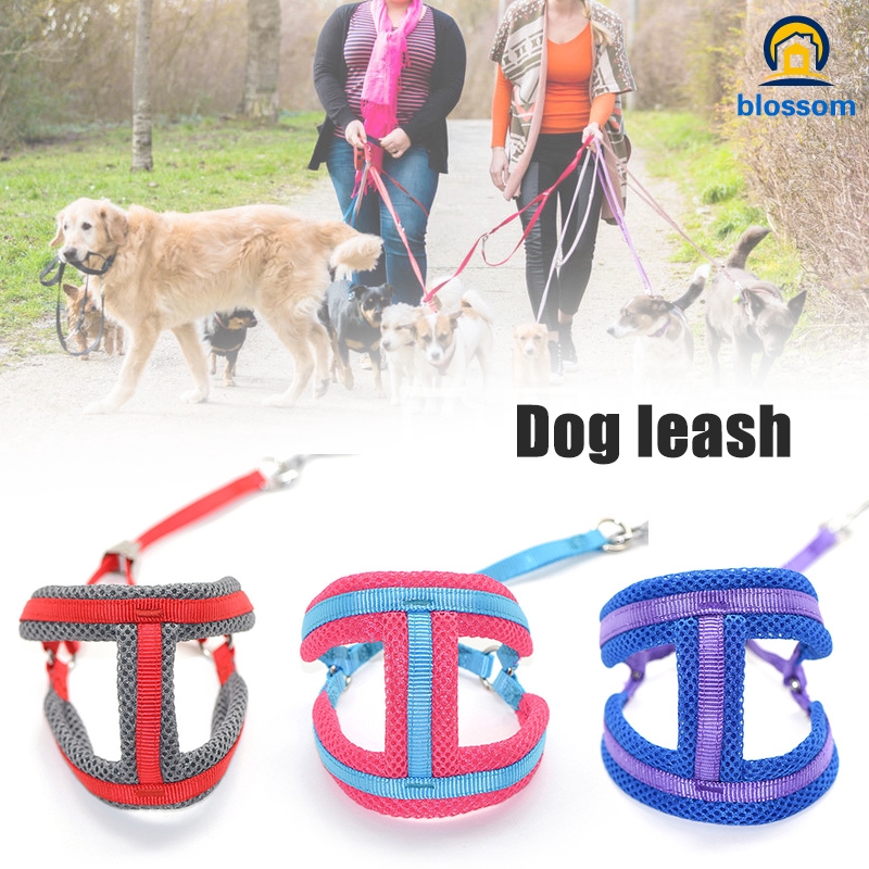 outdoor dog lead