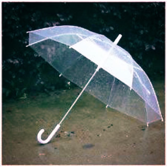 transparent umbrella