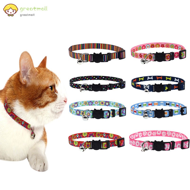 dog and cat collars