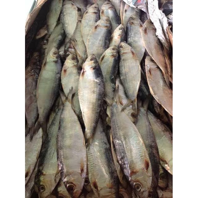 Dried fish Tabagak tuyo from Iloilo 1kg Shopee Philippines