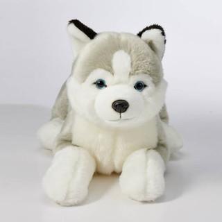animal alley husky