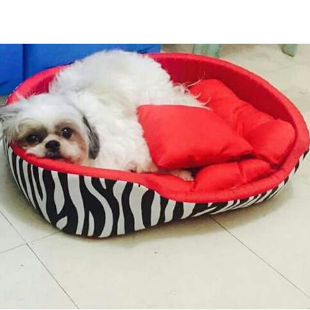 dog bed shopee