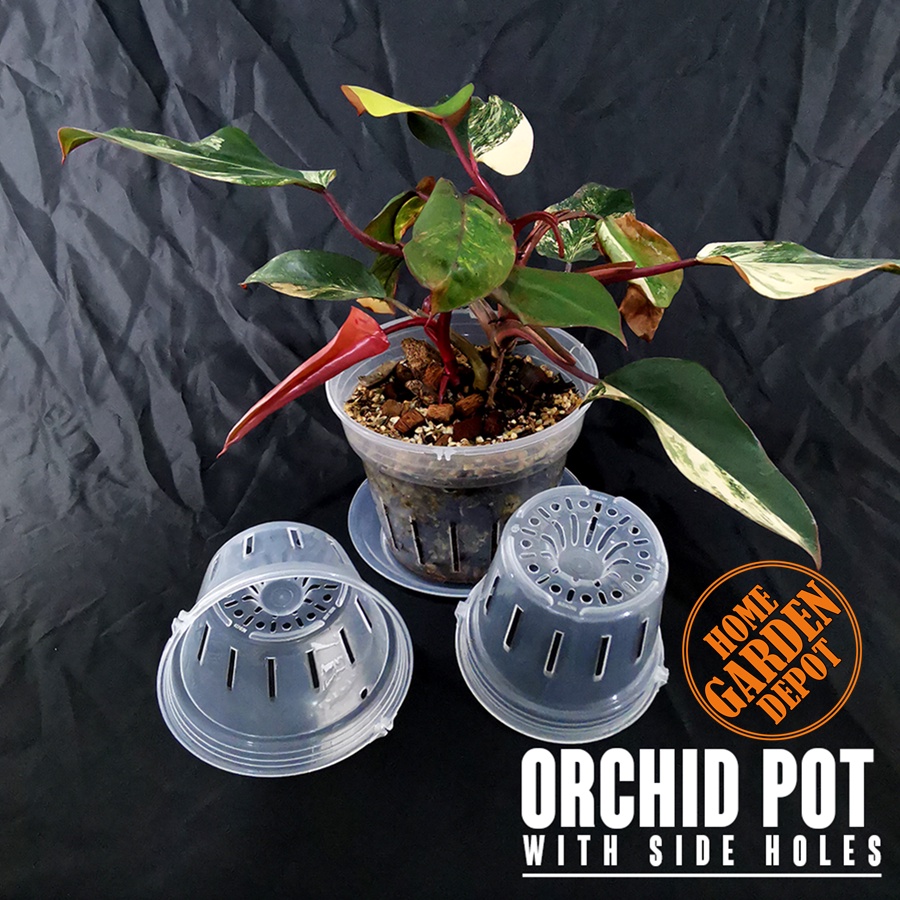 HIGH QUALITY Clear Transparent Plant Net Pot for Aroids and Orchids