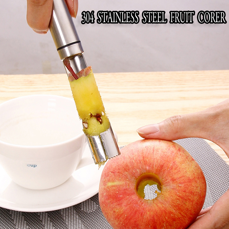 304 Stainless Steel Seed Remover Kernel Remover Fruit Kernel Remover Kernel Apple Kernel Red Dates Seed Remover Shopee Philippines