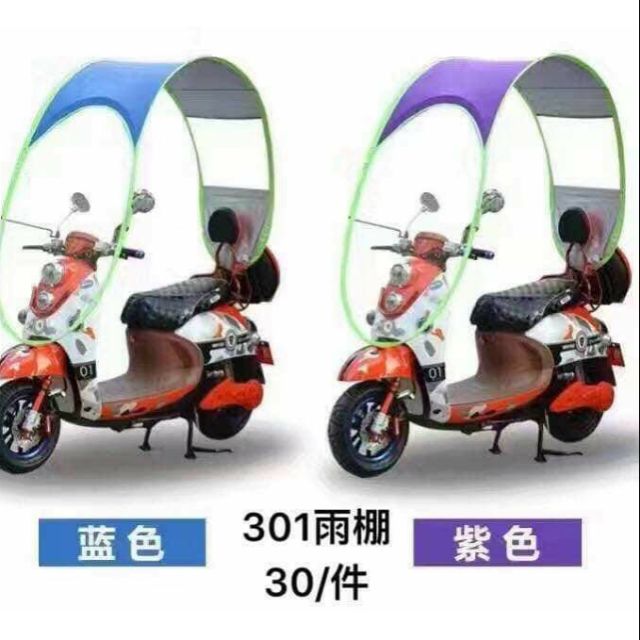 electric bike with cover