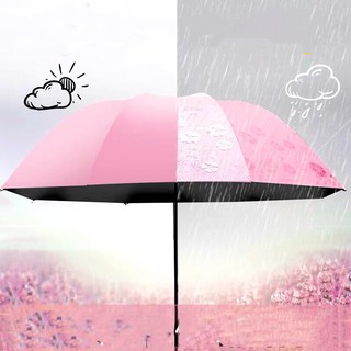Qin mall  magic UV folding sunscreen rain and windproof flower umbrella COD