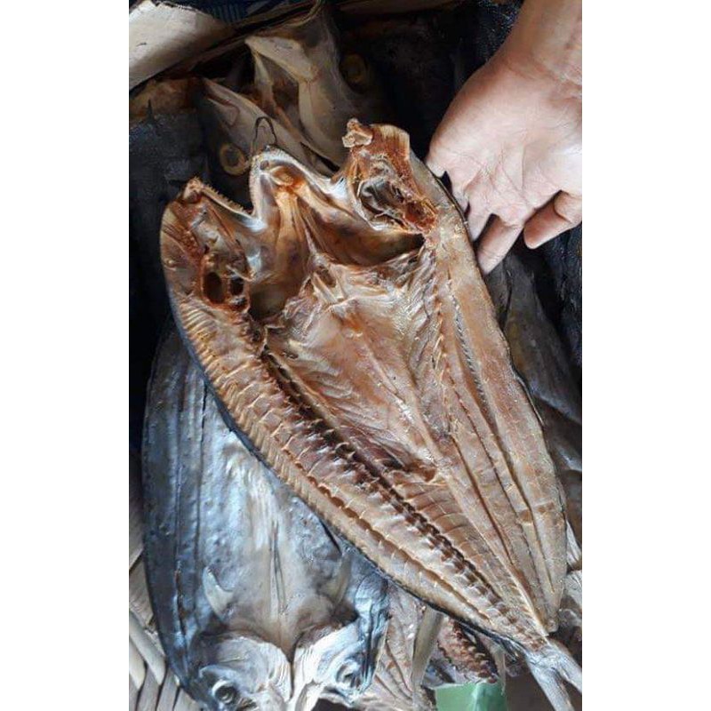 Dried Fish Pandawan Bulad Durado 1 Kilo Shopee Philippines