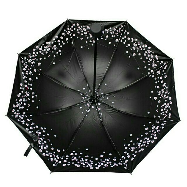 good compact umbrella