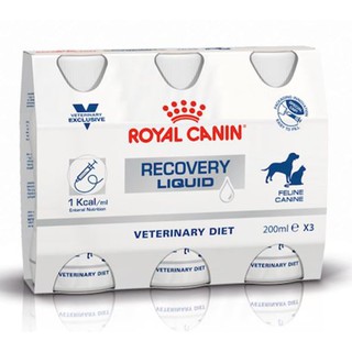 royal canin recovery liquid cat