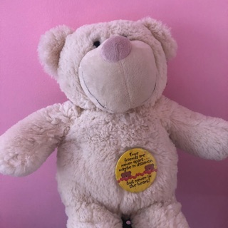 pig teddy bear blue magic price