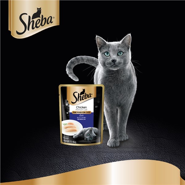 (hot)SHEBA Wet Food for Cats – Chicken Flavor Cat Food Wet (24-Pack), 70g. #7