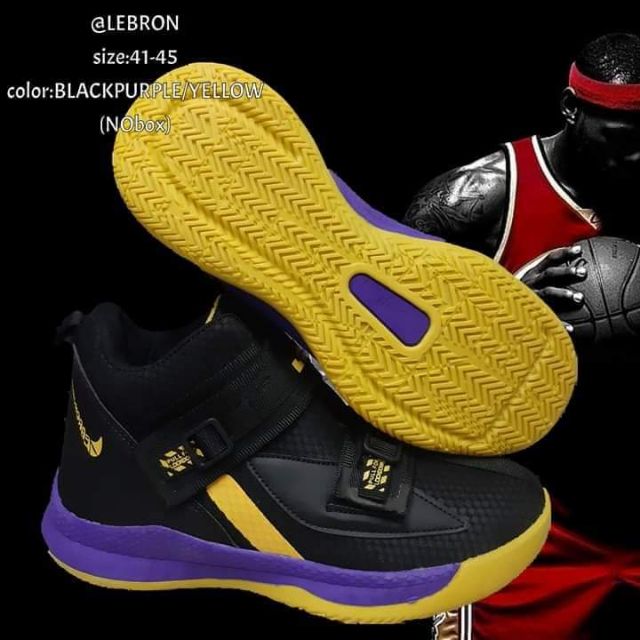 lebron james basketball boots