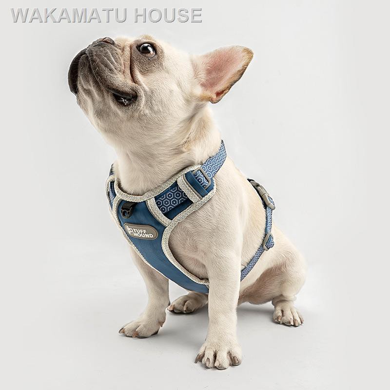 dog harness for french bulldog
